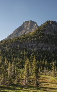 Preview wallpaper mountains, rocks, trees, spruce, sky