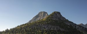 Preview wallpaper mountains, rocks, trees, spruce, sky