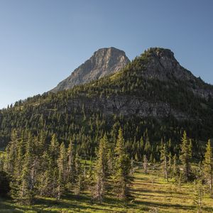 Preview wallpaper mountains, rocks, trees, spruce, sky