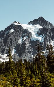 Preview wallpaper mountains, rocks, trees, spruce, forest, sky