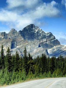 Preview wallpaper mountains, rocks, trees, spruce, sky, road