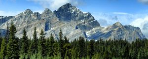 Preview wallpaper mountains, rocks, trees, spruce, sky, road