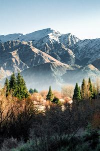 Preview wallpaper mountains, rocks, trees, bushes, spruce