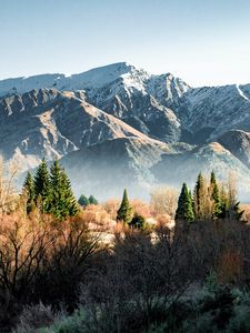 Preview wallpaper mountains, rocks, trees, bushes, spruce