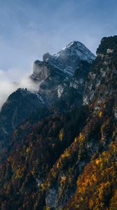 Preview wallpaper mountains, rocks, trees, fog, clouds