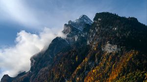 Preview wallpaper mountains, rocks, trees, fog, clouds