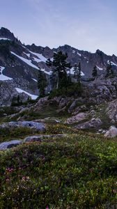 Preview wallpaper mountains, rocks, trees, grass, snow, landscape