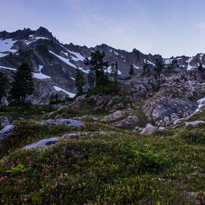 Preview wallpaper mountains, rocks, trees, grass, snow, landscape