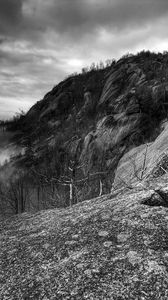 Preview wallpaper mountains, rocks, trees, fog, black-and-white