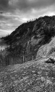 Preview wallpaper mountains, rocks, trees, fog, black-and-white