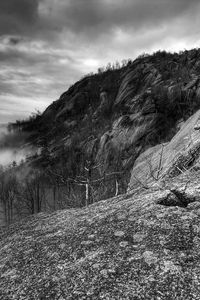 Preview wallpaper mountains, rocks, trees, fog, black-and-white