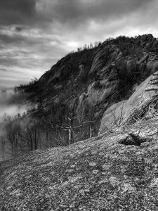 Preview wallpaper mountains, rocks, trees, fog, black-and-white