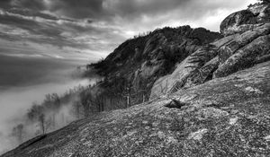 Preview wallpaper mountains, rocks, trees, fog, black-and-white