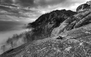 Preview wallpaper mountains, rocks, trees, fog, black-and-white