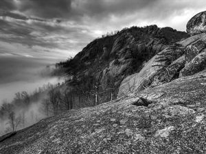 Preview wallpaper mountains, rocks, trees, fog, black-and-white