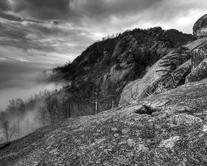 Preview wallpaper mountains, rocks, trees, fog, black-and-white