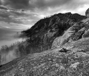 Preview wallpaper mountains, rocks, trees, fog, black-and-white