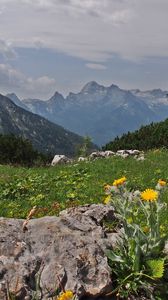 Preview wallpaper mountains, rocks, trees, landscape