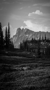 Preview wallpaper mountains, rocks, trees, valley, nature, black and white