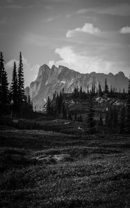 Preview wallpaper mountains, rocks, trees, valley, nature, black and white