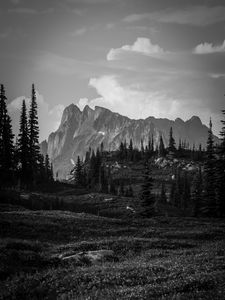 Preview wallpaper mountains, rocks, trees, valley, nature, black and white