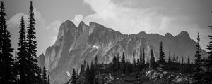 Preview wallpaper mountains, rocks, trees, valley, nature, black and white