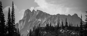 Preview wallpaper mountains, rocks, trees, valley, nature, black and white