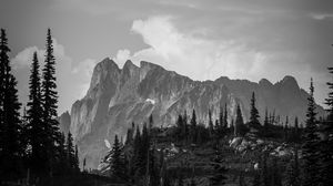 Preview wallpaper mountains, rocks, trees, valley, nature, black and white