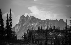 Preview wallpaper mountains, rocks, trees, valley, nature, black and white