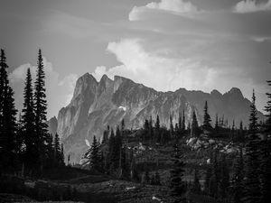 Preview wallpaper mountains, rocks, trees, valley, nature, black and white