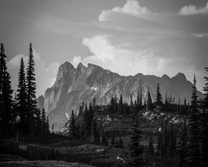 Preview wallpaper mountains, rocks, trees, valley, nature, black and white