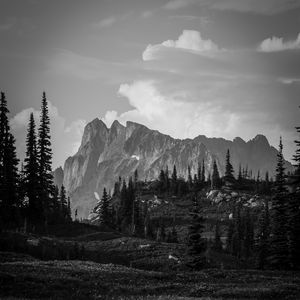 Preview wallpaper mountains, rocks, trees, valley, nature, black and white