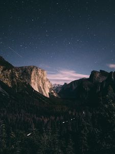 Preview wallpaper mountains, rocks, trees, forest, starry sky, night