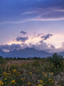 Preview wallpaper mountains, rocks, wildflowers, grass, distance