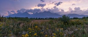 Preview wallpaper mountains, rocks, wildflowers, grass, distance