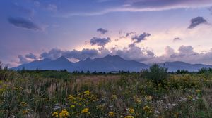 Preview wallpaper mountains, rocks, wildflowers, grass, distance