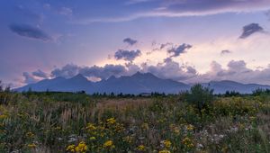 Preview wallpaper mountains, rocks, wildflowers, grass, distance