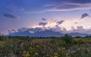 Preview wallpaper mountains, rocks, wildflowers, grass, distance