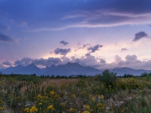 Preview wallpaper mountains, rocks, wildflowers, grass, distance