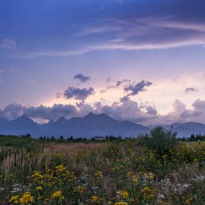 Preview wallpaper mountains, rocks, wildflowers, grass, distance