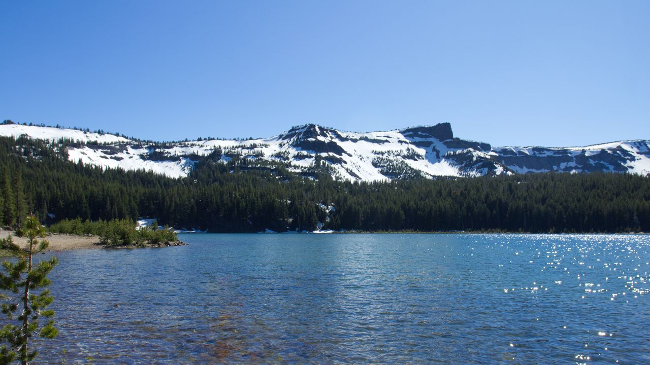 Wallpaper mountains, sea, snow, trees, nature