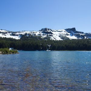 Preview wallpaper mountains, sea, snow, trees, nature