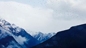 Preview wallpaper mountains, sky, top, birds