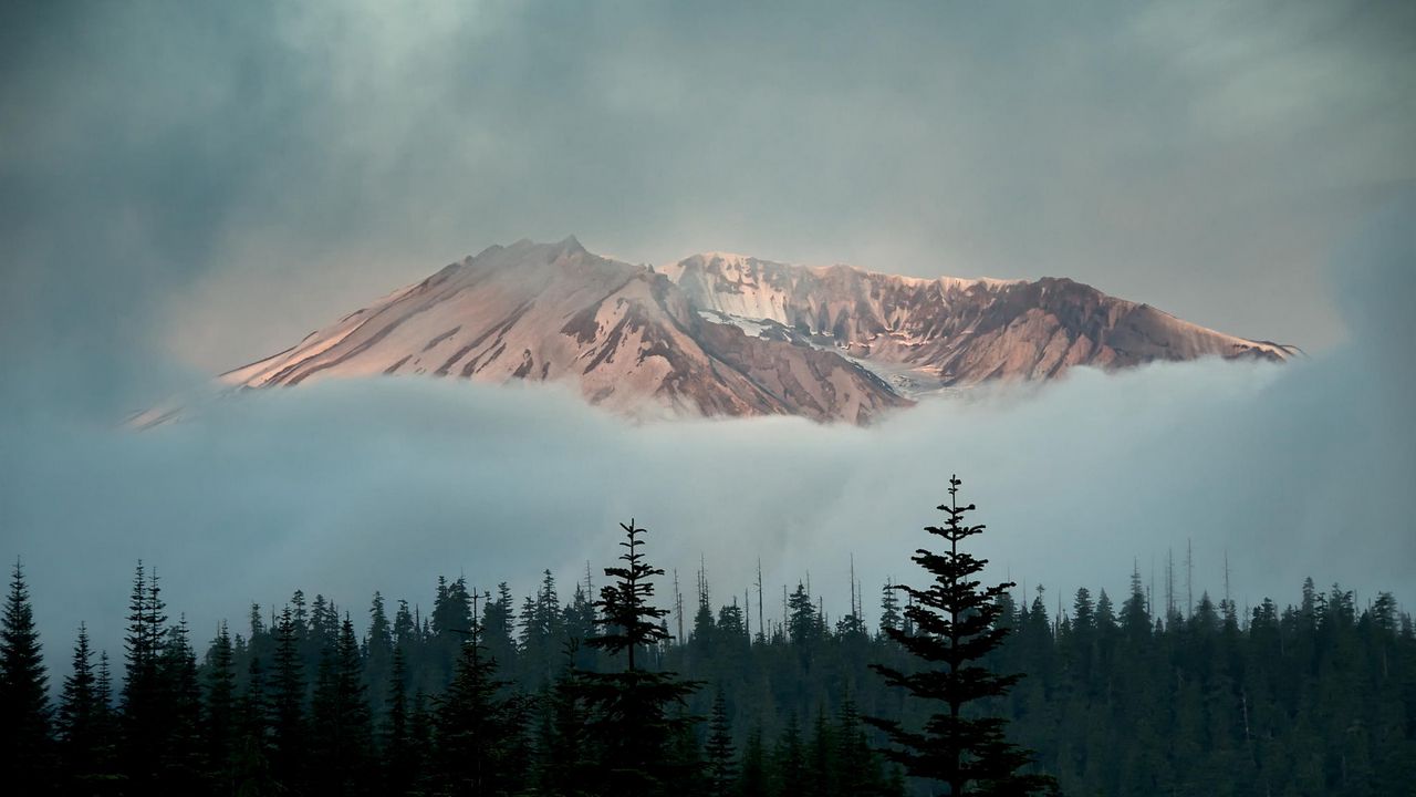 Wallpaper mountains, sky, trees, fog