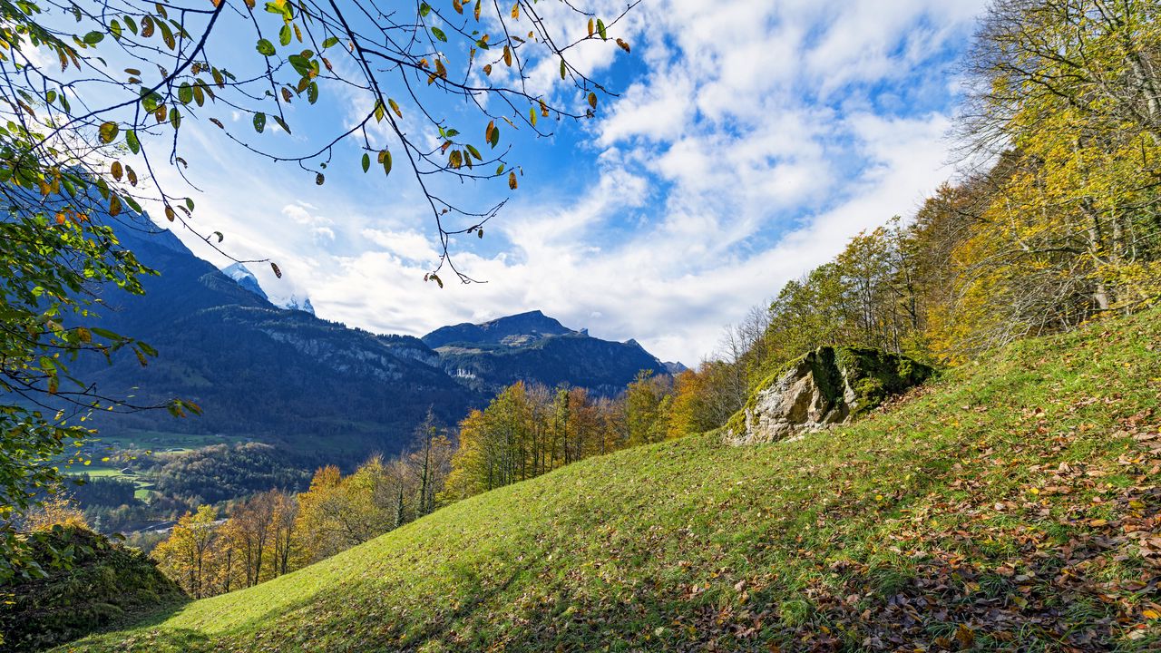 Wallpaper mountains, slope, branches, forest, landscape