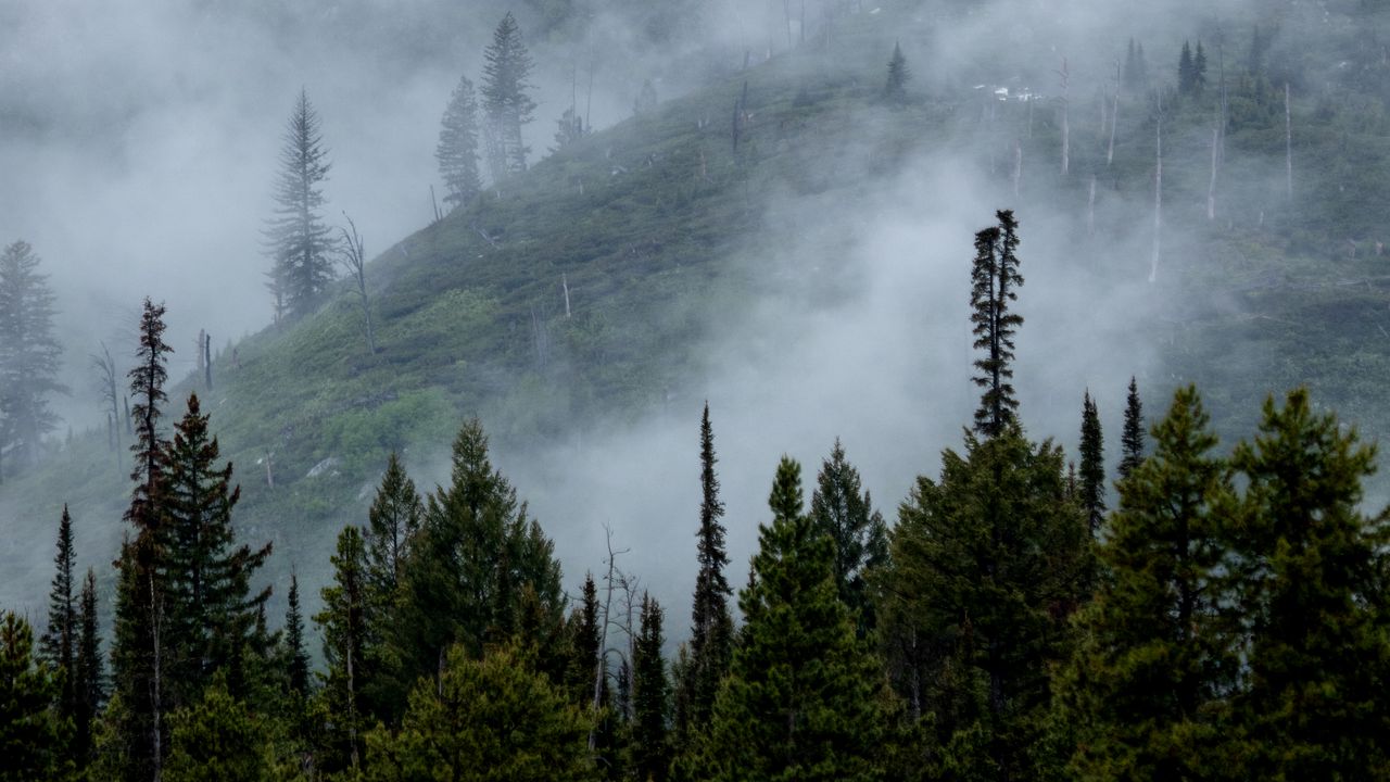 Wallpaper mountains, slope, fog, waterfalls, trees, landscape