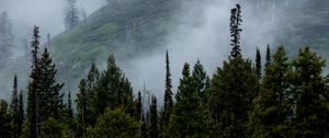 Preview wallpaper mountains, slope, fog, waterfalls, trees, landscape