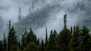 Preview wallpaper mountains, slope, fog, waterfalls, trees, landscape