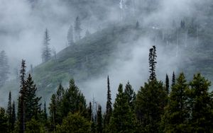 Preview wallpaper mountains, slope, fog, waterfalls, trees, landscape