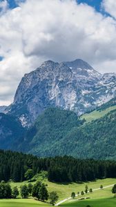 Preview wallpaper mountains, slope, forest, alps, landscape
